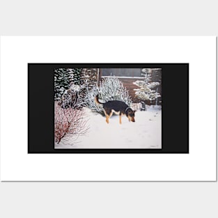 Winter snow scene with cute black and tan dog Posters and Art